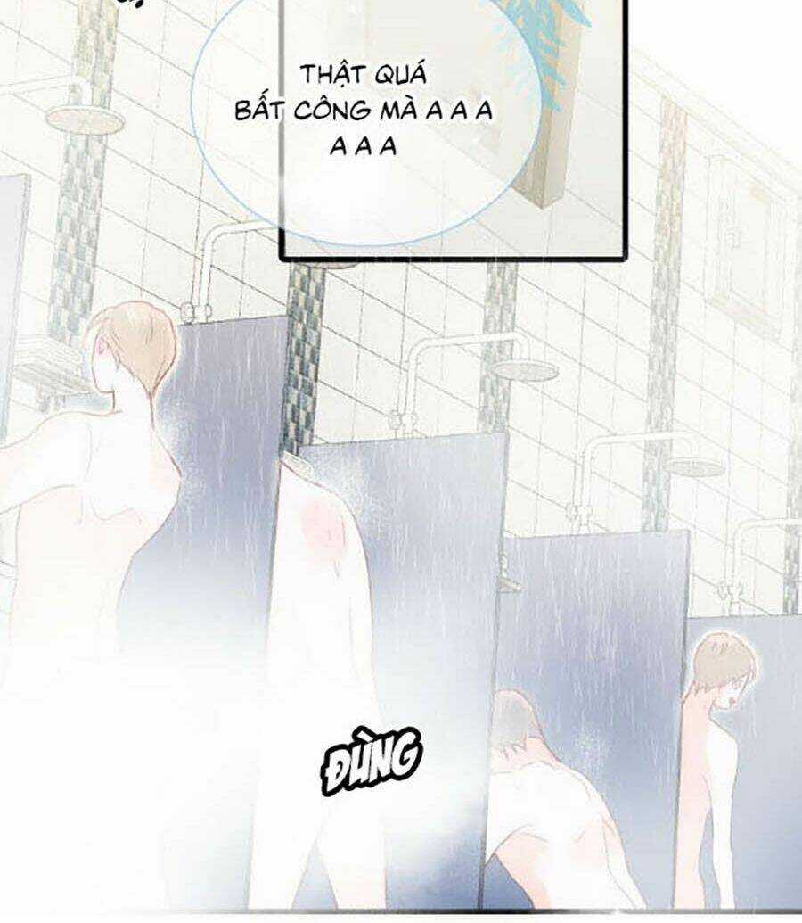 Hoa Bỏ Chạy Với Nhím Rồi Chapter 2 trang 40