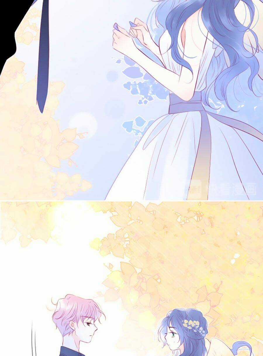 Hoa Bỏ Chạy Với Nhím Rồi Chapter 20 trang 41