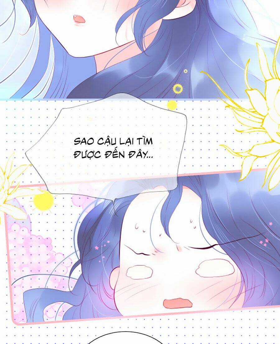 Hoa Bỏ Chạy Với Nhím Rồi Chapter 27 trang 12