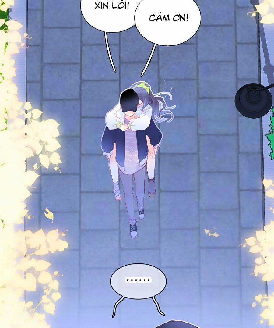 Hoa Bỏ Chạy Với Nhím Rồi Chapter 28 trang 6