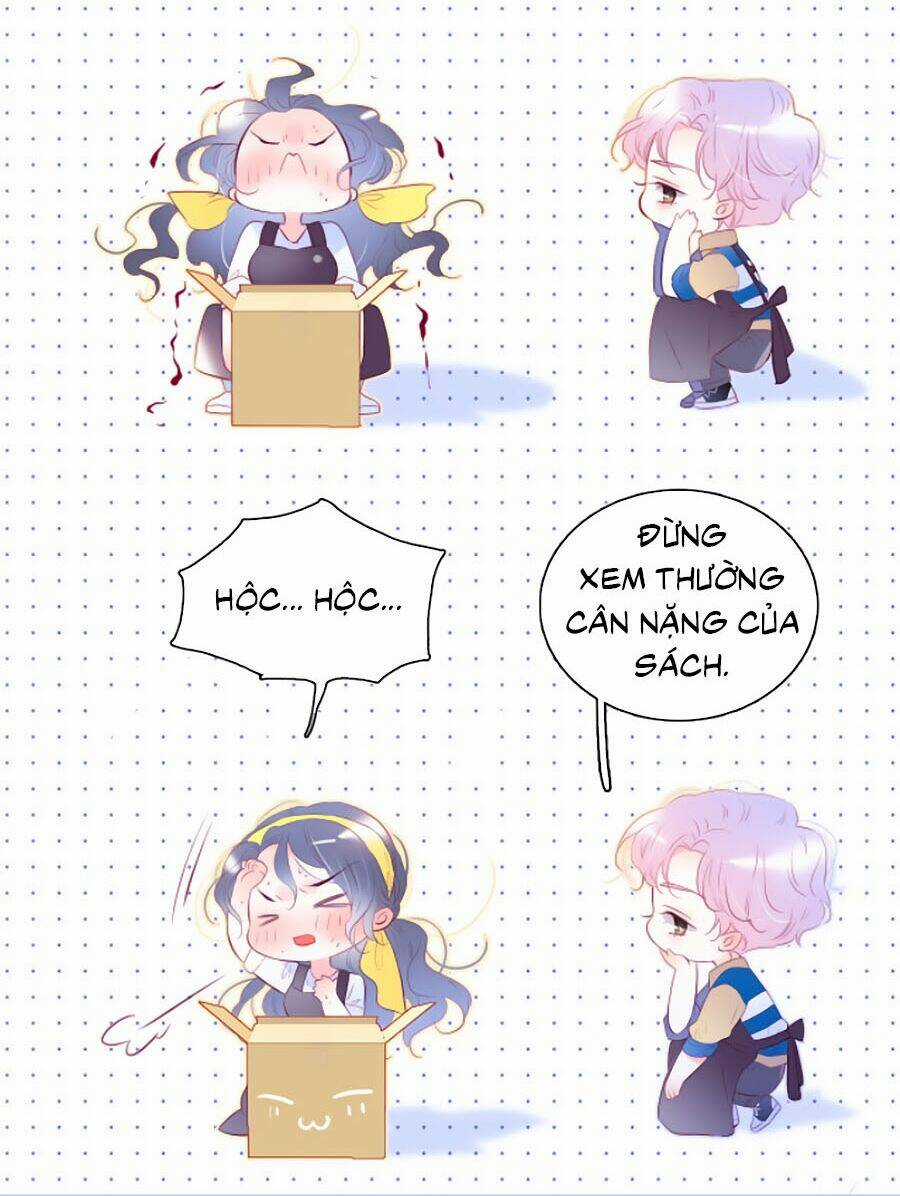 Hoa Bỏ Chạy Với Nhím Rồi Chapter 35 trang 7