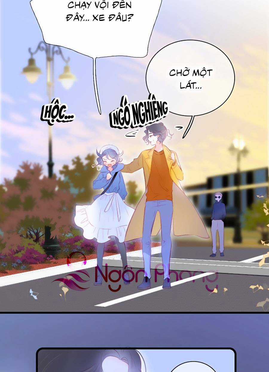 Hoa Bỏ Chạy Với Nhím Rồi Chapter 41 trang 12