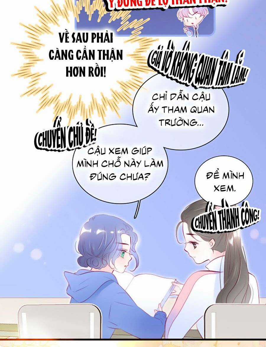 Hoa Bỏ Chạy Với Nhím Rồi Chapter 41 trang 6