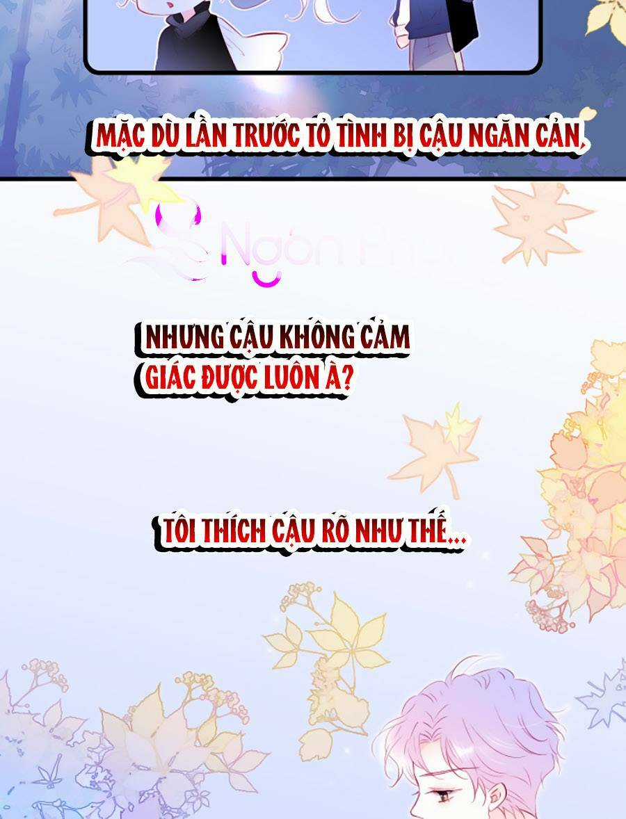 Hoa Bỏ Chạy Với Nhím Rồi Chapter 44 trang 4