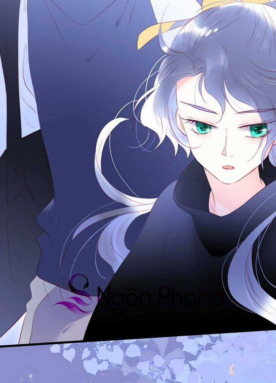 Hoa Bỏ Chạy Với Nhím Rồi Chapter 46 trang 41