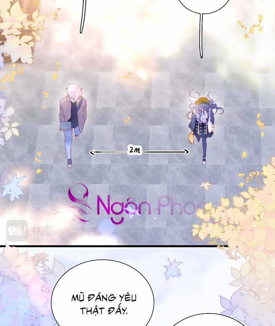 Hoa Bỏ Chạy Với Nhím Rồi Chapter 47 trang 2