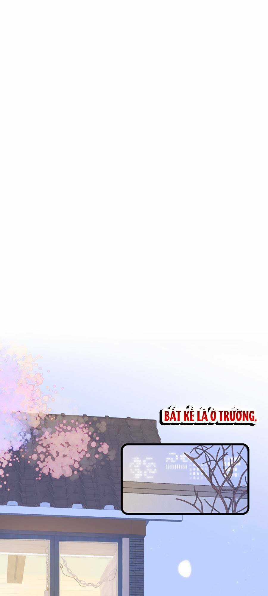 Hoa Bỏ Chạy Với Nhím Rồi Chapter 48 trang 4