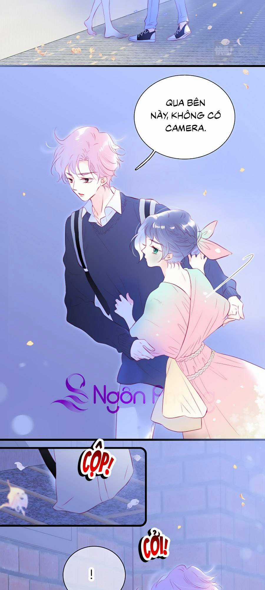 Hoa Bỏ Chạy Với Nhím Rồi Chapter 50 trang 1