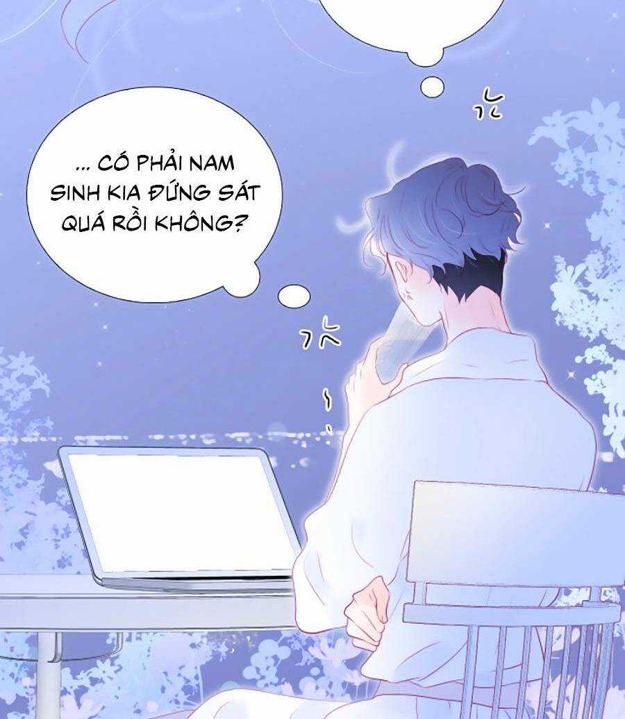 Hoa Bỏ Chạy Với Nhím Rồi Chapter 55 trang 11