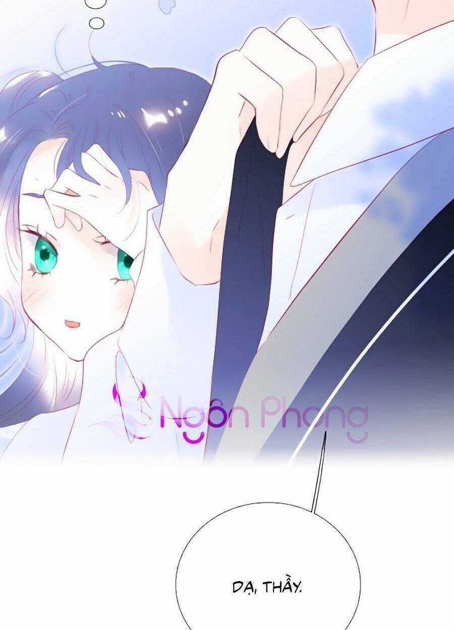Hoa Bỏ Chạy Với Nhím Rồi Chapter 56 trang 65