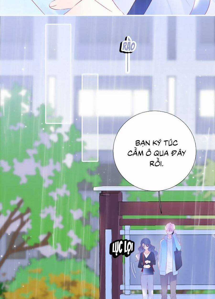 Hoa Bỏ Chạy Với Nhím Rồi Chapter 59 trang 45