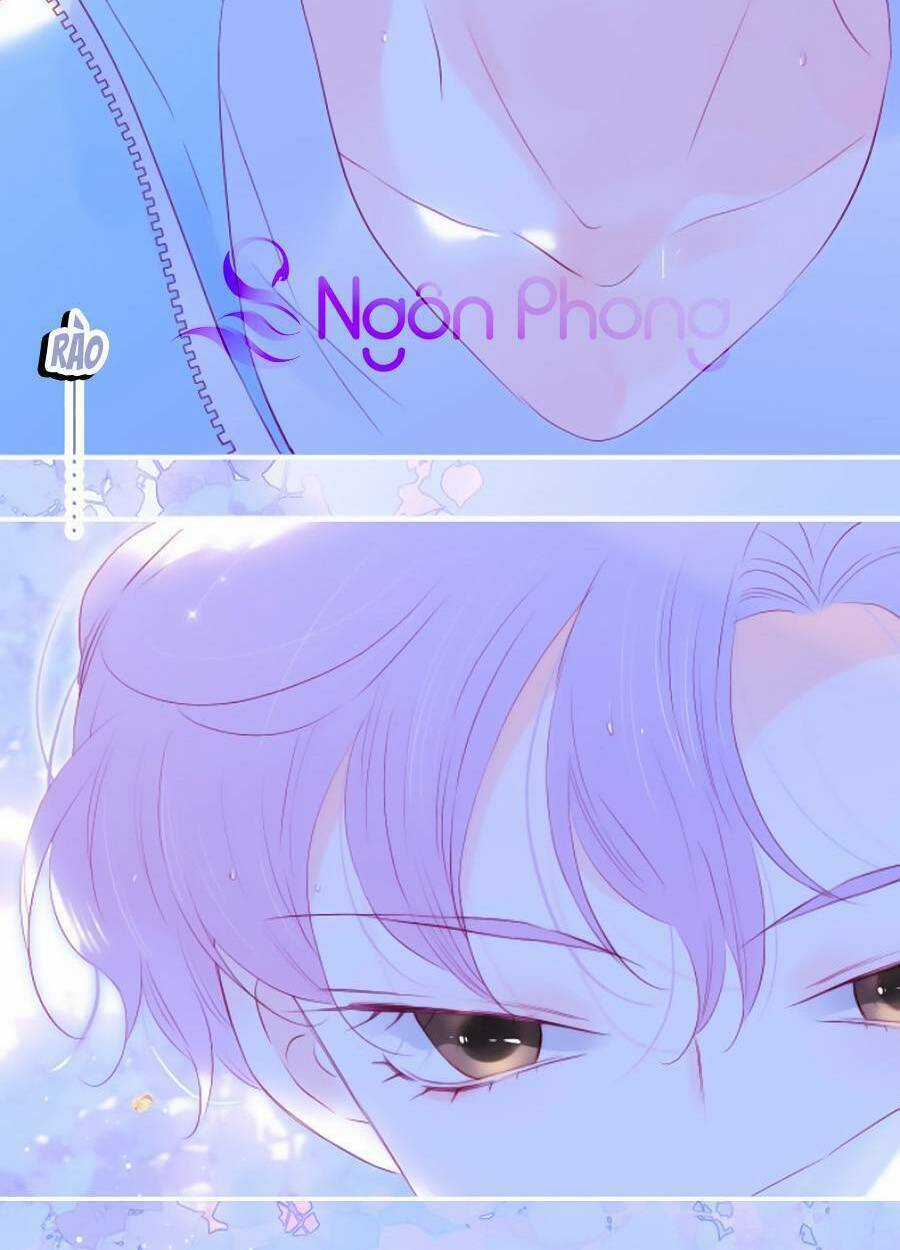 Hoa Bỏ Chạy Với Nhím Rồi Chapter 59 trang 52