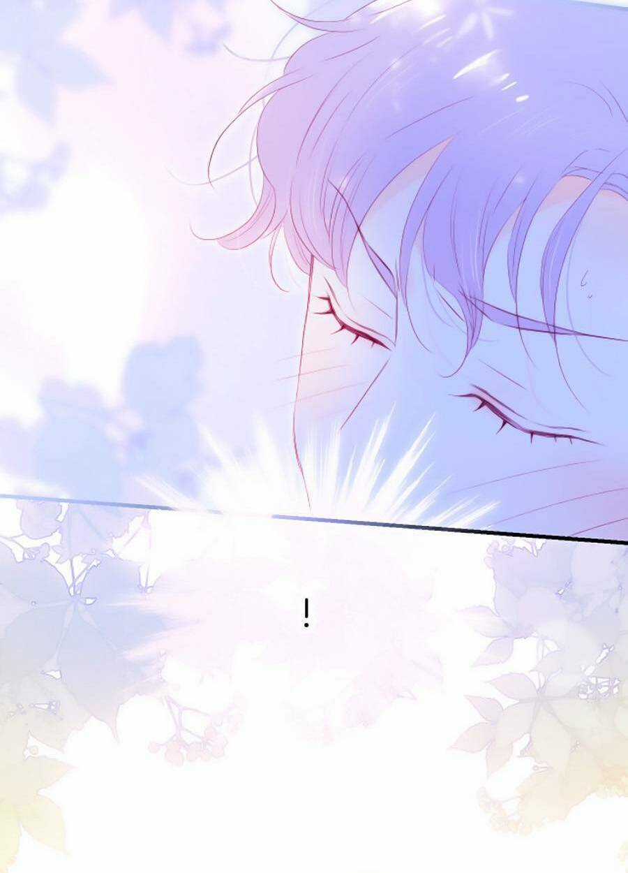 Hoa Bỏ Chạy Với Nhím Rồi Chapter 60 trang 60