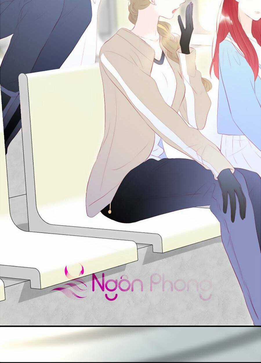 Hoa Bỏ Chạy Với Nhím Rồi Chapter 61 trang 12