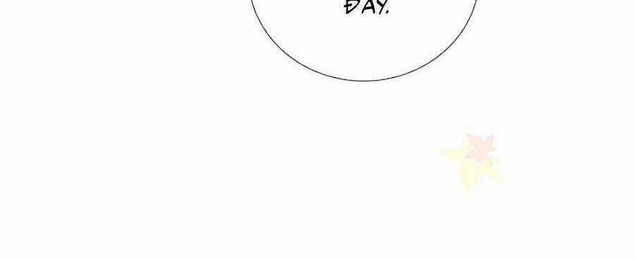 Hoa Bỏ Chạy Với Nhím Rồi Chapter 61 trang 41