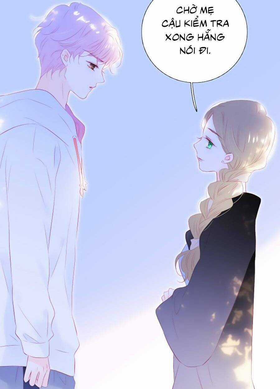 Hoa Bỏ Chạy Với Nhím Rồi Chapter 63 trang 46