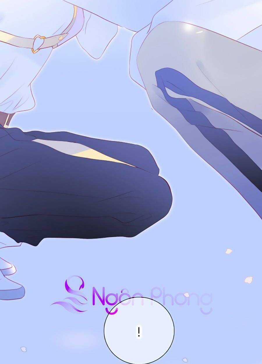 Hoa Bỏ Chạy Với Nhím Rồi Chapter 63 trang 62