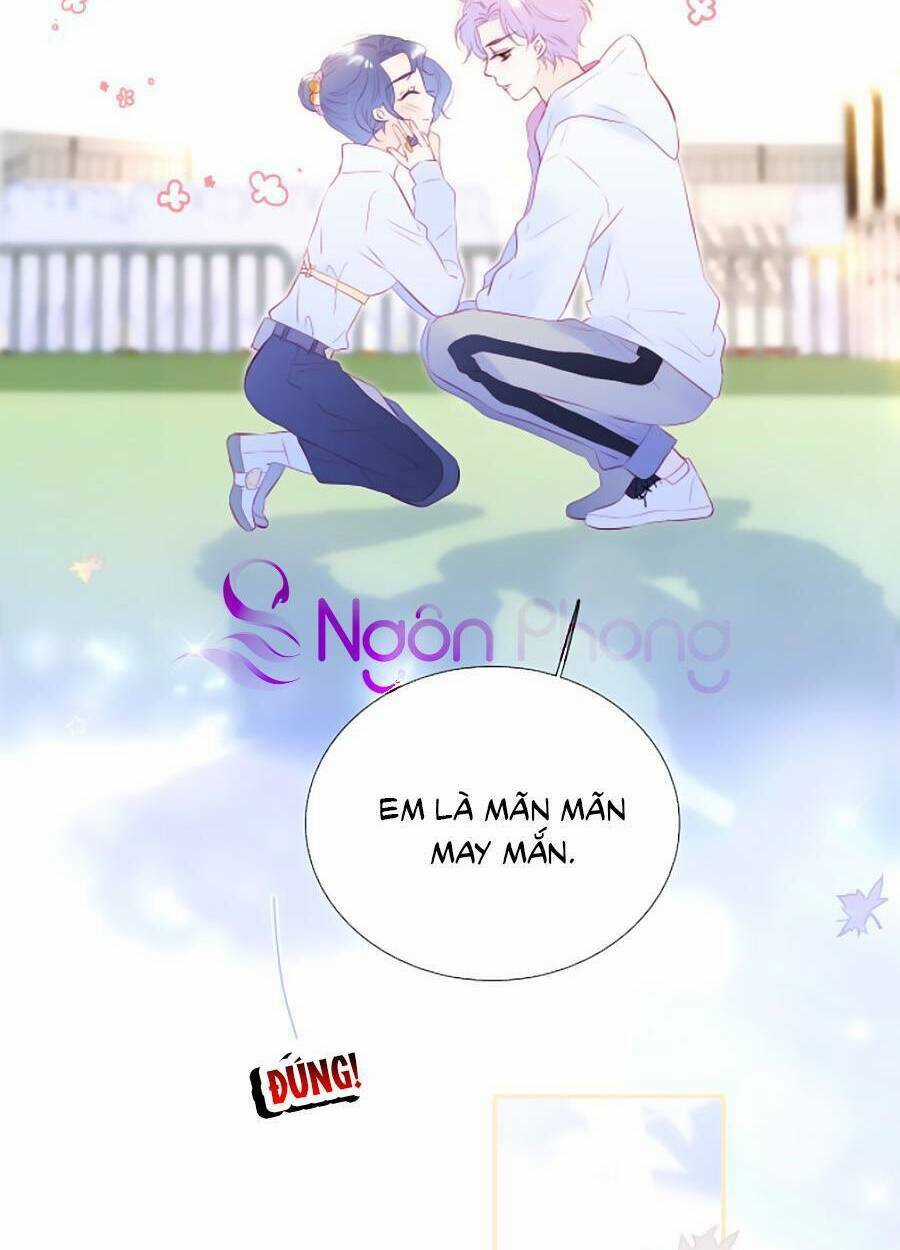 Hoa Bỏ Chạy Với Nhím Rồi Chapter 64 trang 10