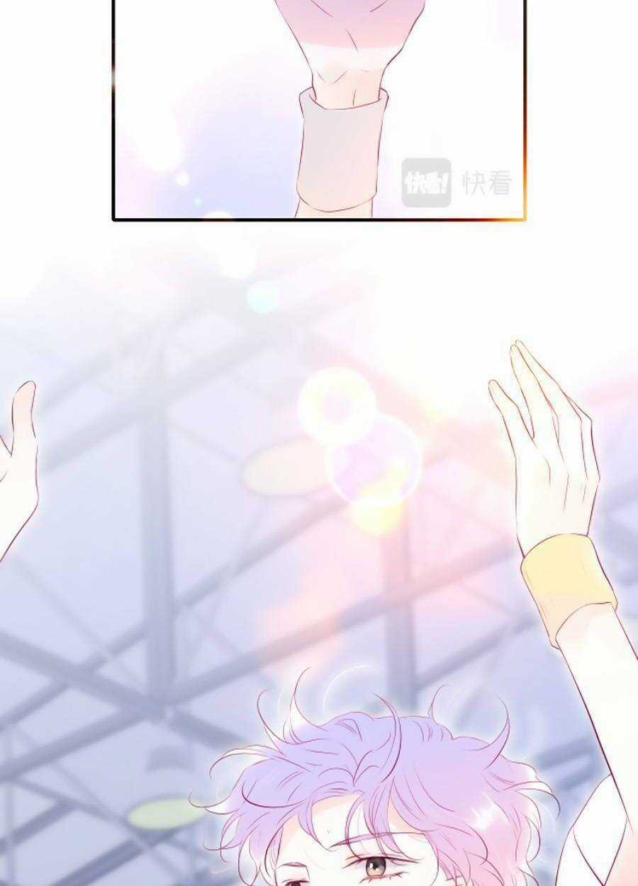 Hoa Bỏ Chạy Với Nhím Rồi Chapter 64 trang 12