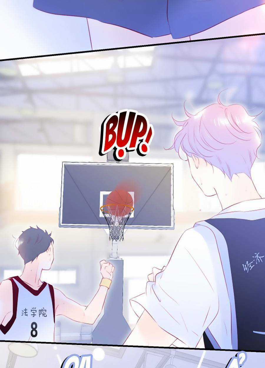 Hoa Bỏ Chạy Với Nhím Rồi Chapter 64 trang 15