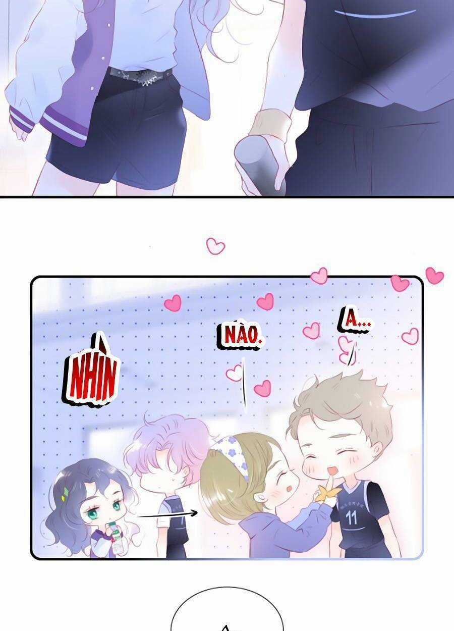 Hoa Bỏ Chạy Với Nhím Rồi Chapter 64 trang 19