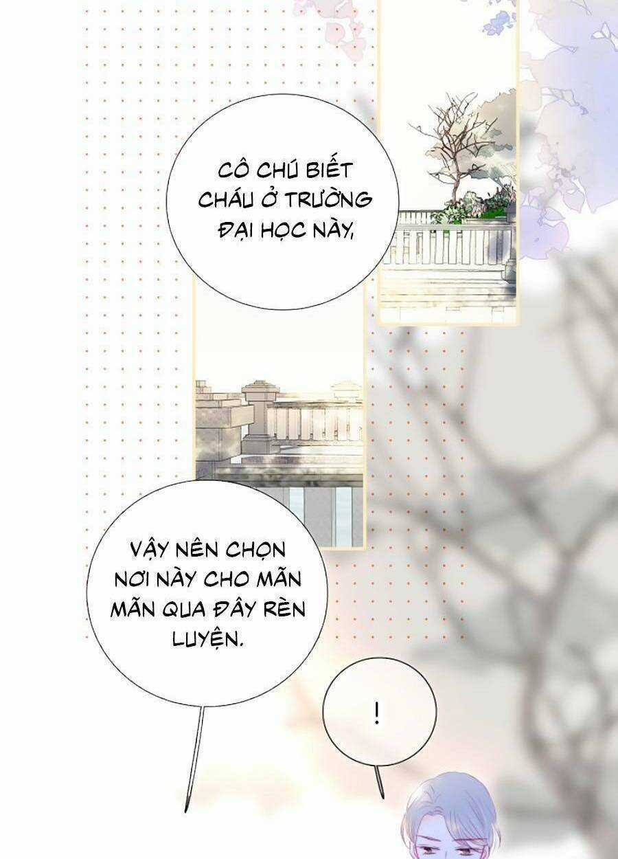 Hoa Bỏ Chạy Với Nhím Rồi Chapter 64 trang 27