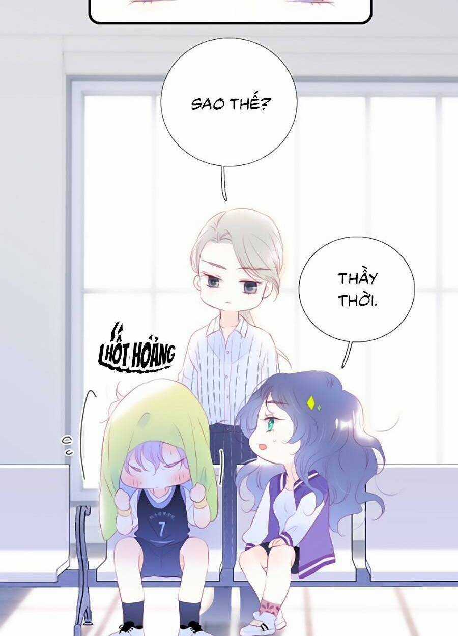 Hoa Bỏ Chạy Với Nhím Rồi Chapter 64 trang 49