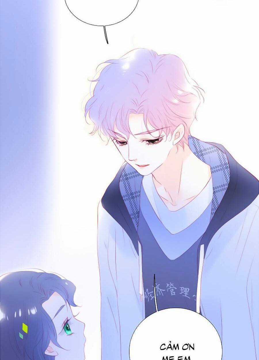 Hoa Bỏ Chạy Với Nhím Rồi Chapter 65 trang 15