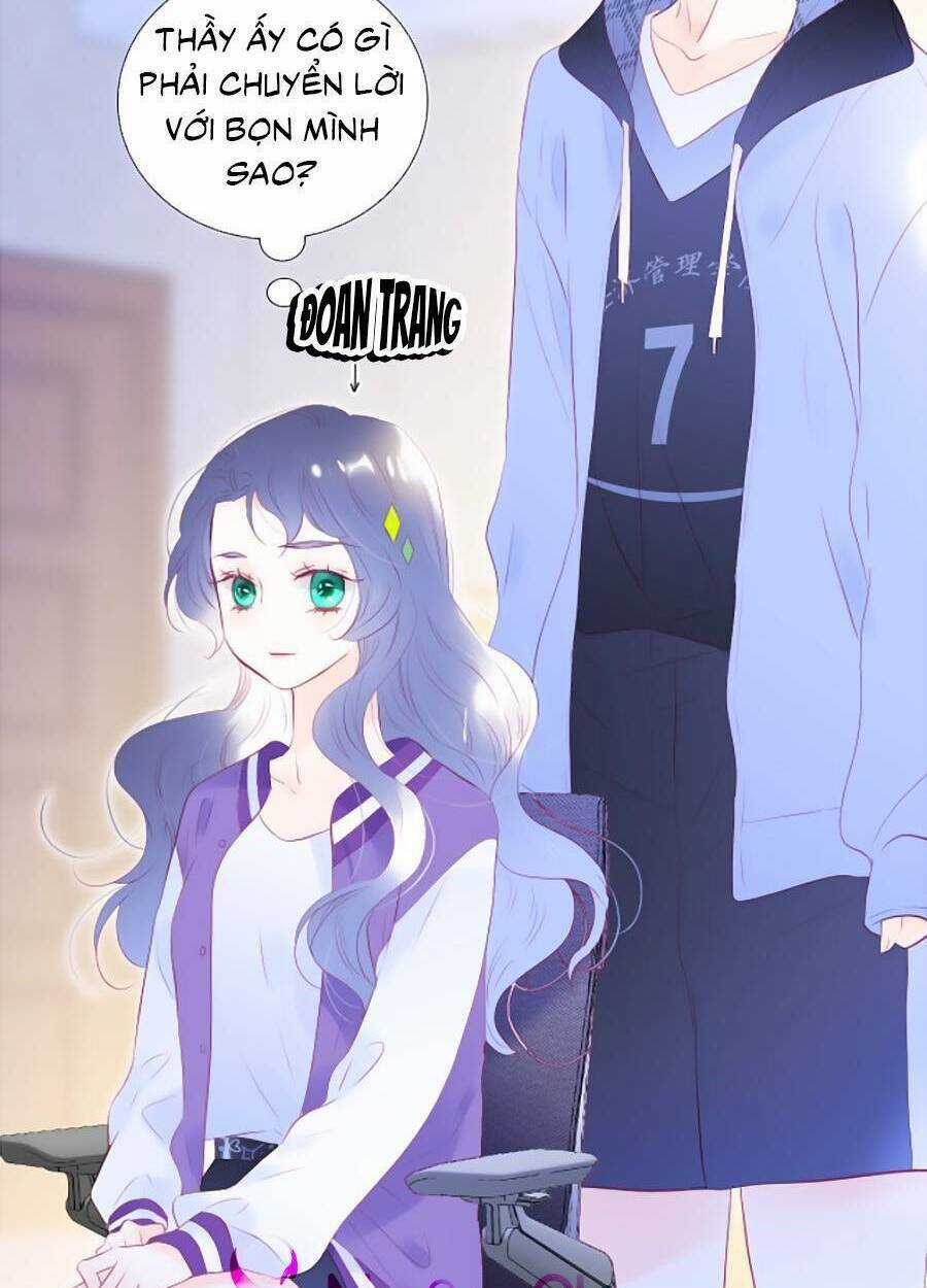 Hoa Bỏ Chạy Với Nhím Rồi Chapter 65 trang 3