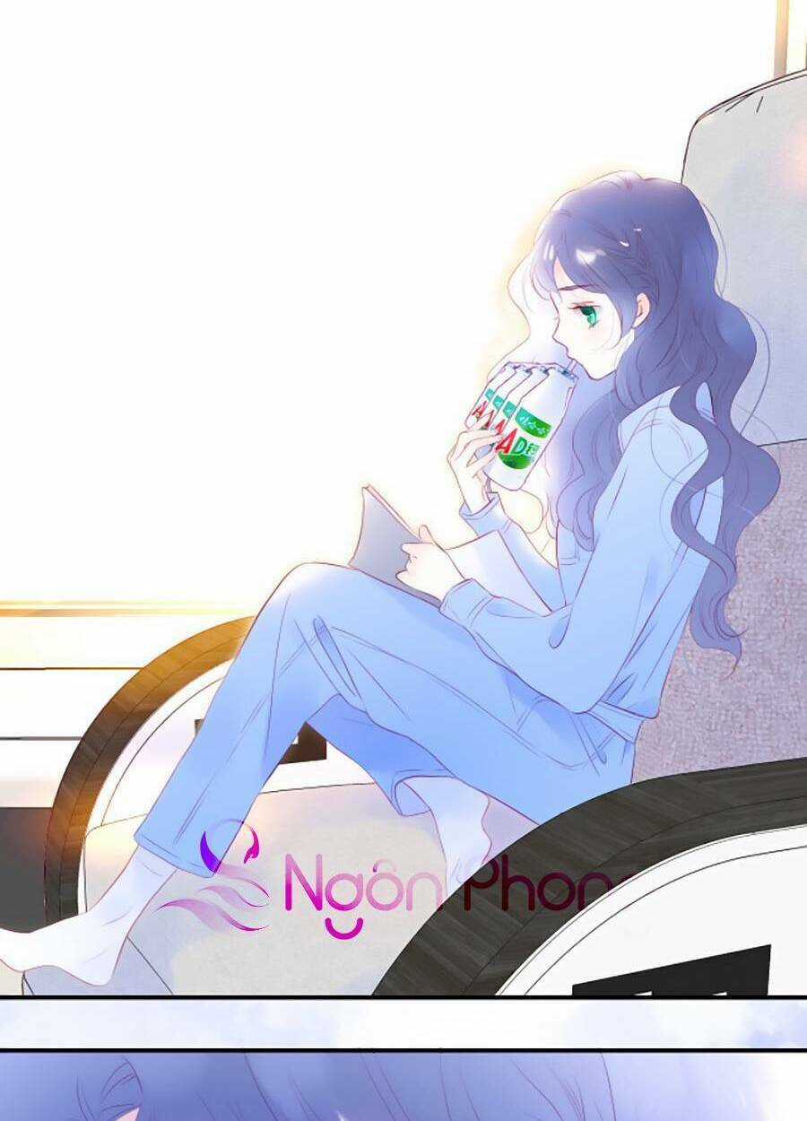 Hoa Bỏ Chạy Với Nhím Rồi Chapter 66 trang 15