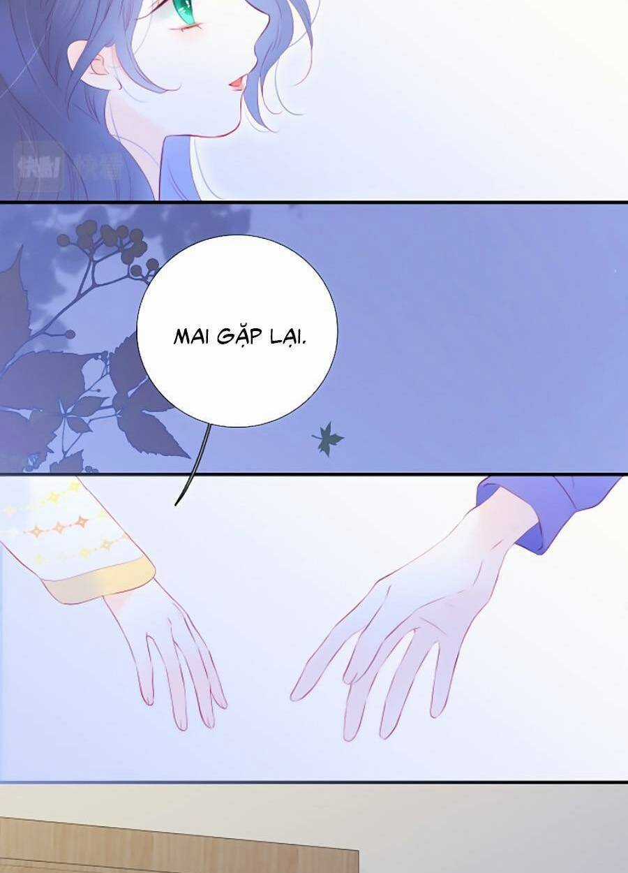 Hoa Bỏ Chạy Với Nhím Rồi Chapter 67 trang 45