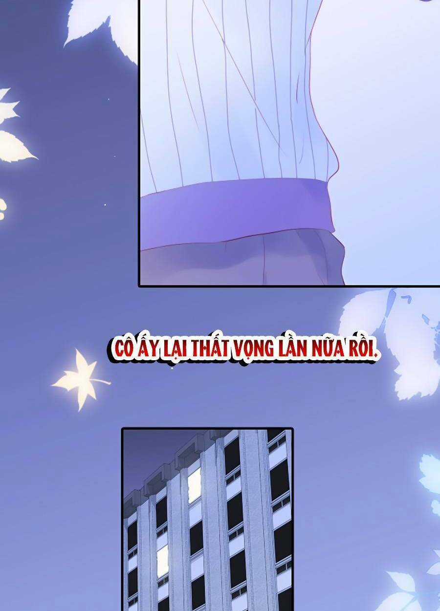 Hoa Bỏ Chạy Với Nhím Rồi Chapter 67 trang 48