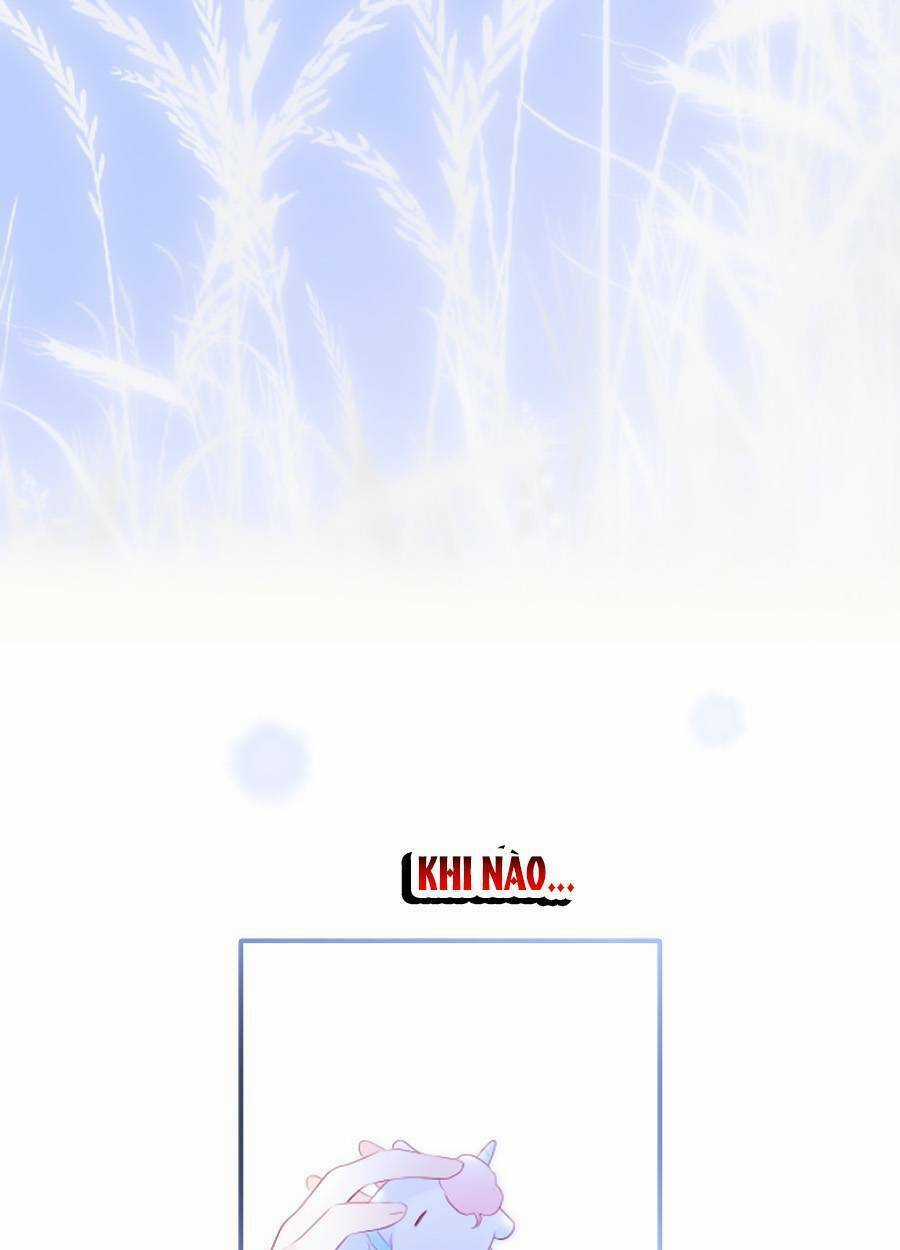 Hoa Bỏ Chạy Với Nhím Rồi Chapter 67 trang 51