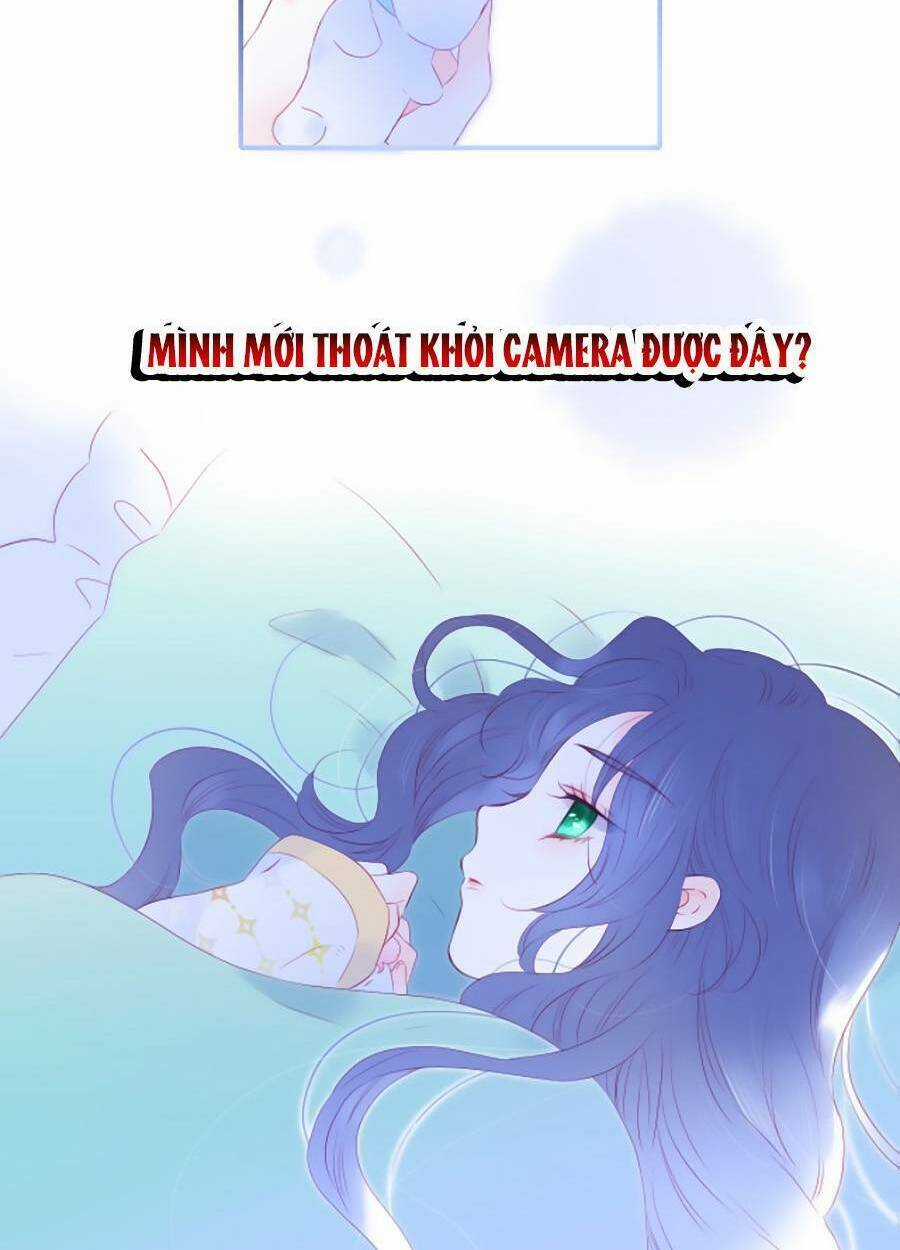 Hoa Bỏ Chạy Với Nhím Rồi Chapter 67 trang 52