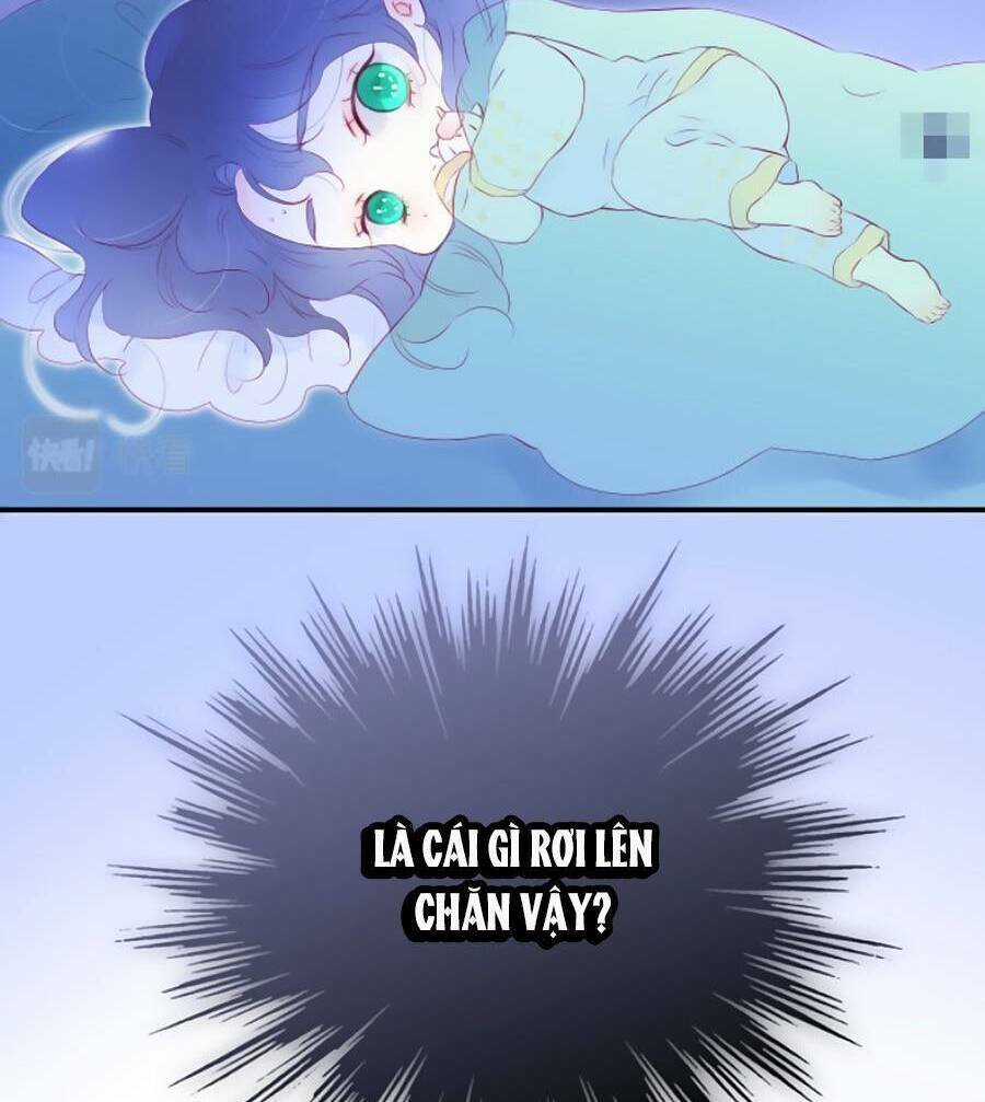 Hoa Bỏ Chạy Với Nhím Rồi Chapter 67 trang 57