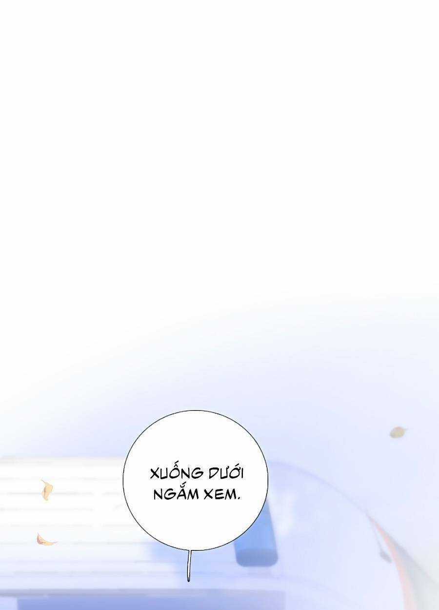 Hoa Bỏ Chạy Với Nhím Rồi Chapter 67 trang 6