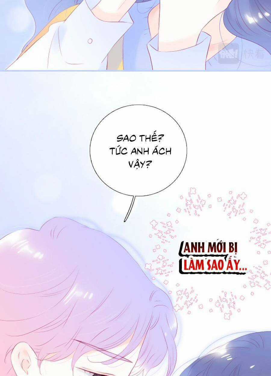 Hoa Bỏ Chạy Với Nhím Rồi Chapter 70 trang 2