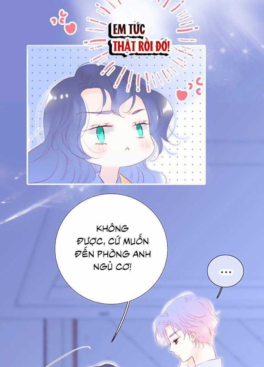 Hoa Bỏ Chạy Với Nhím Rồi Chapter 70 trang 6