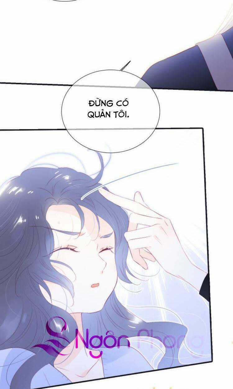 Hoa Bỏ Chạy Với Nhím Rồi Chapter 71 trang 11