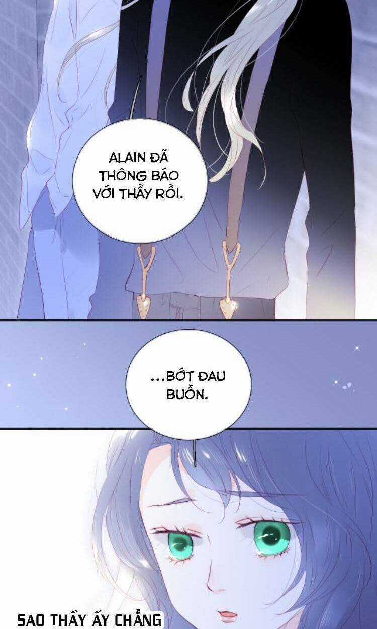 Hoa Bỏ Chạy Với Nhím Rồi Chapter 71 trang 4