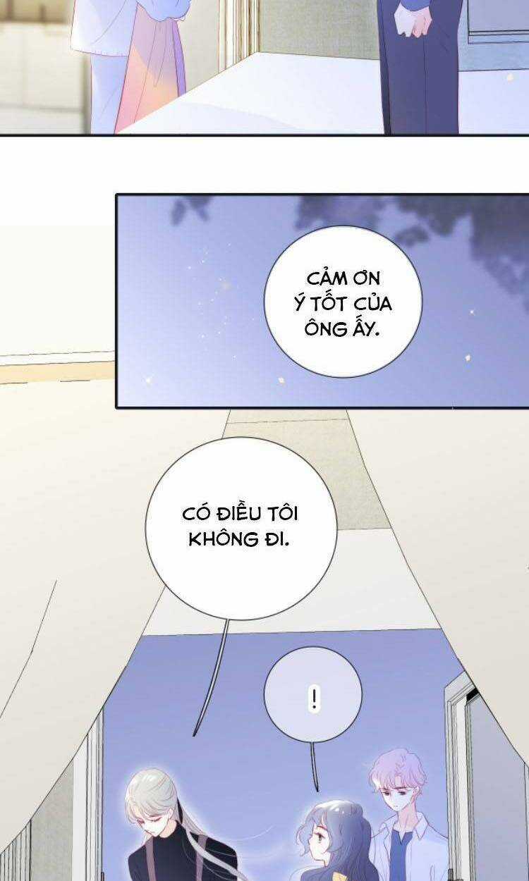 Hoa Bỏ Chạy Với Nhím Rồi Chapter 71 trang 6
