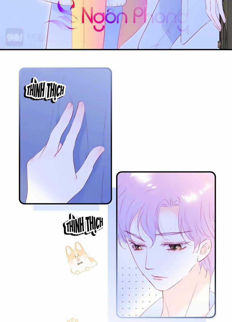 Hoa Bỏ Chạy Với Nhím Rồi Chapter 72 trang 29