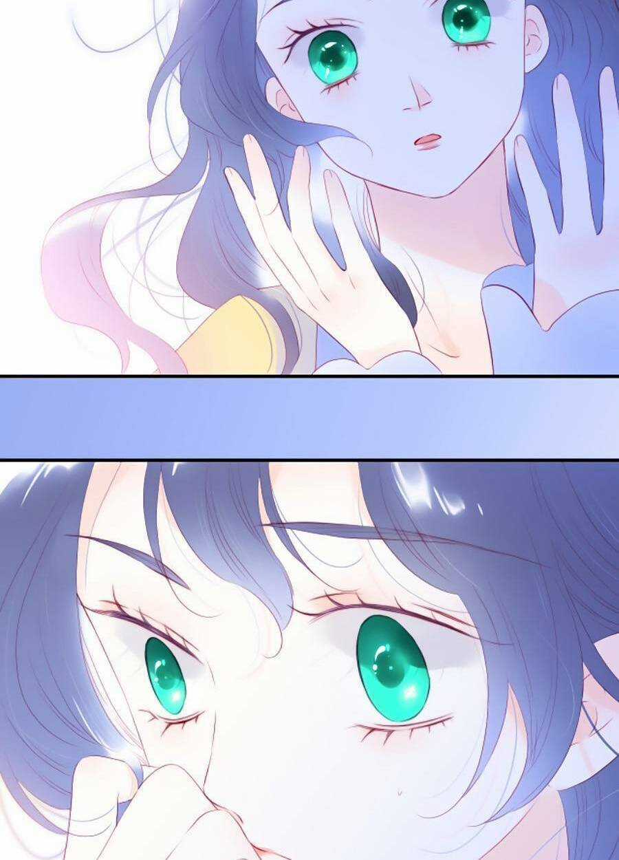 Hoa Bỏ Chạy Với Nhím Rồi Chapter 72 trang 47