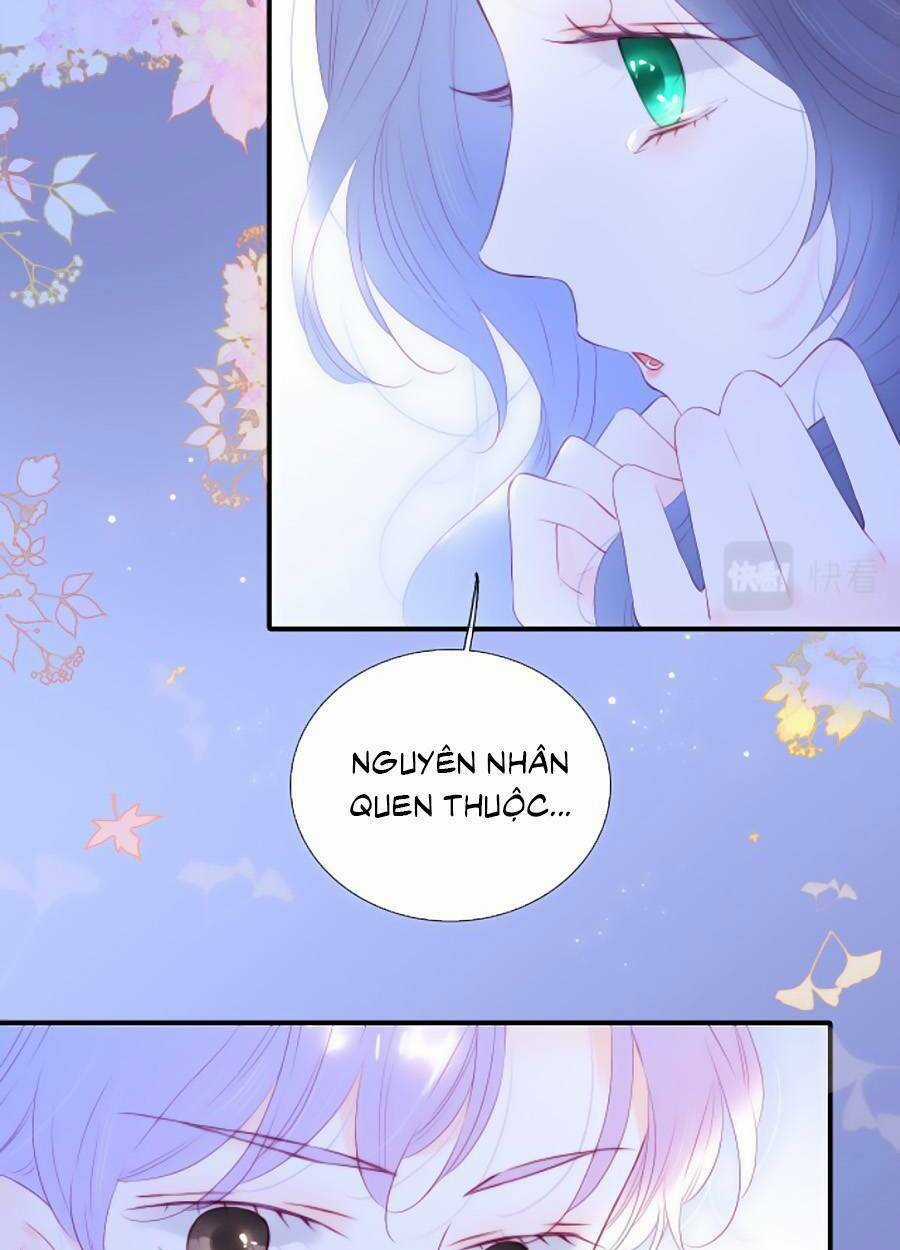 Hoa Bỏ Chạy Với Nhím Rồi Chapter 72 trang 50