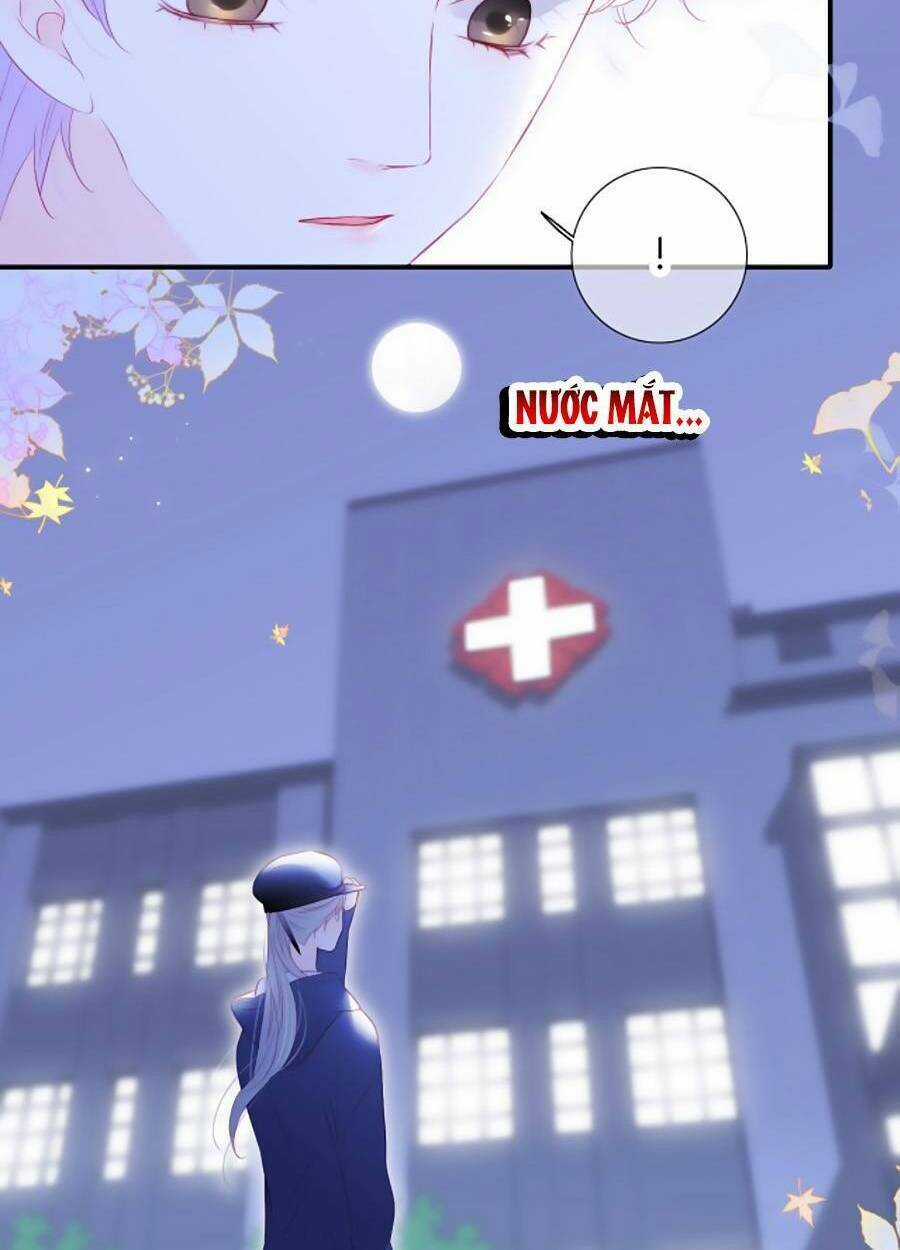 Hoa Bỏ Chạy Với Nhím Rồi Chapter 72 trang 51