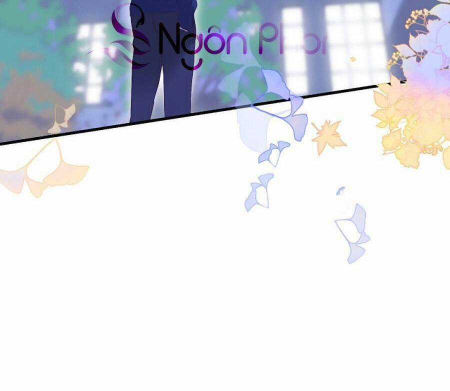 Hoa Bỏ Chạy Với Nhím Rồi Chapter 72 trang 52