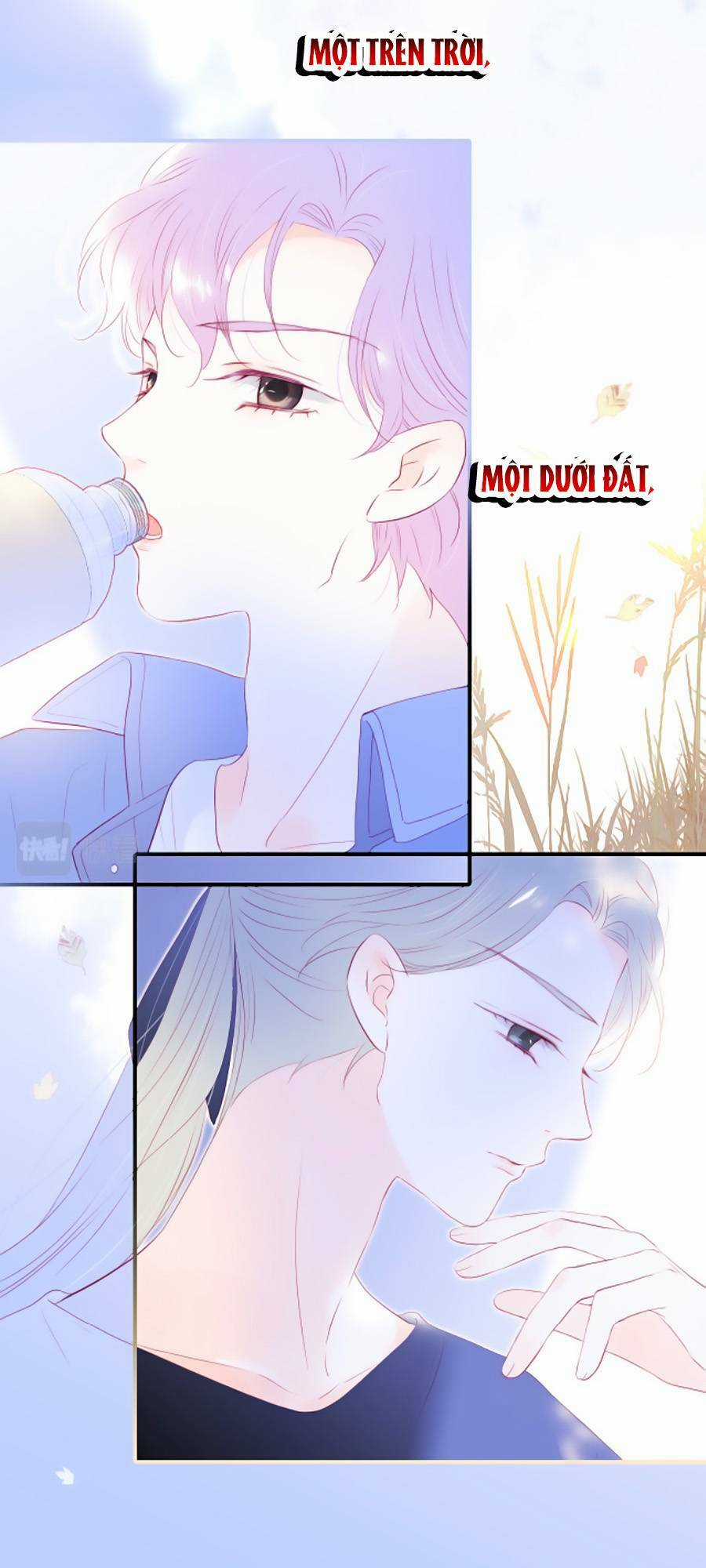 Hoa Bỏ Chạy Với Nhím Rồi Chapter 73 trang 31