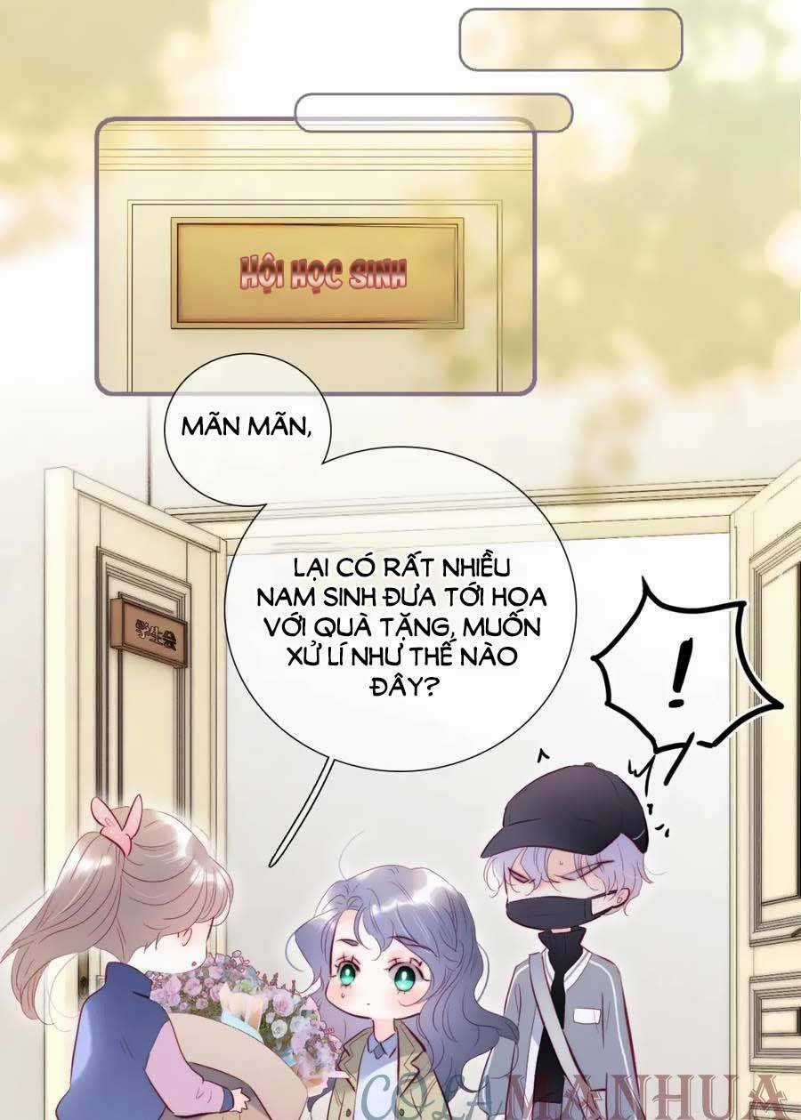 Hoa Bỏ Chạy Với Nhím Rồi Chapter 92 trang 13