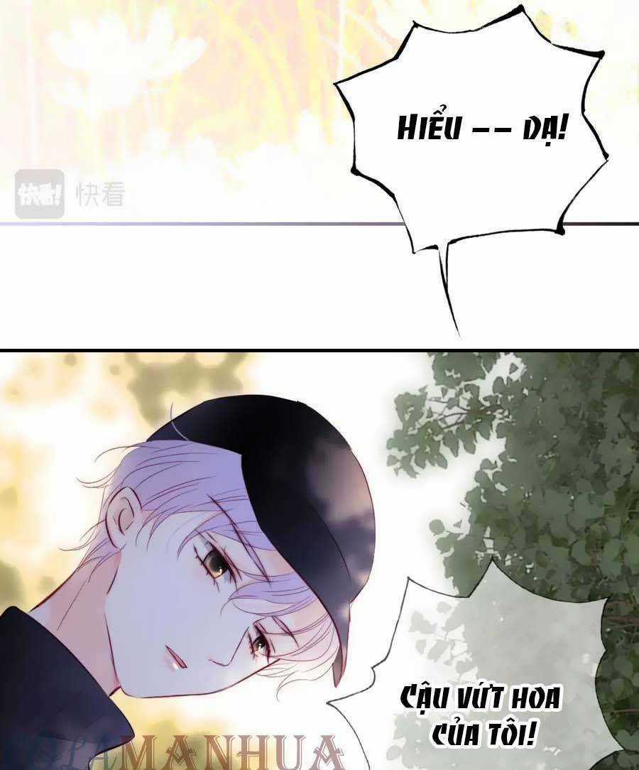 Hoa Bỏ Chạy Với Nhím Rồi Chapter 92 trang 25