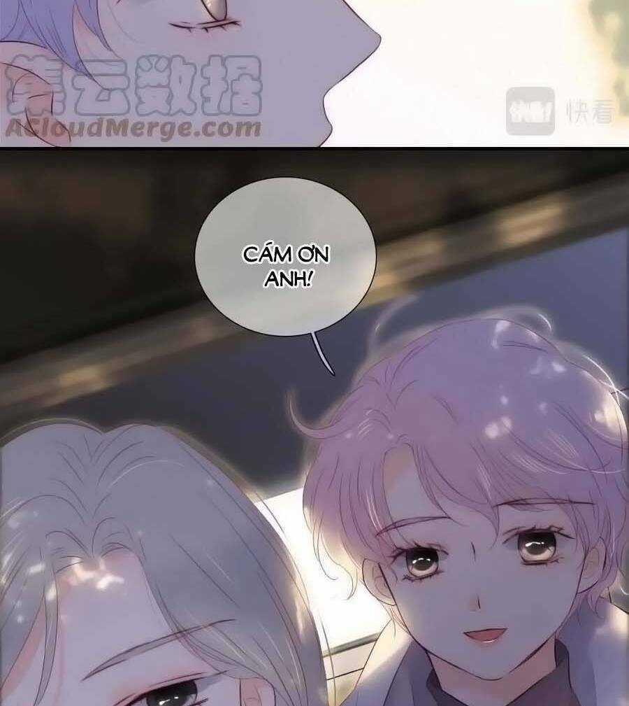 Hoa Bỏ Chạy Với Nhím Rồi Chapter 94 trang 40